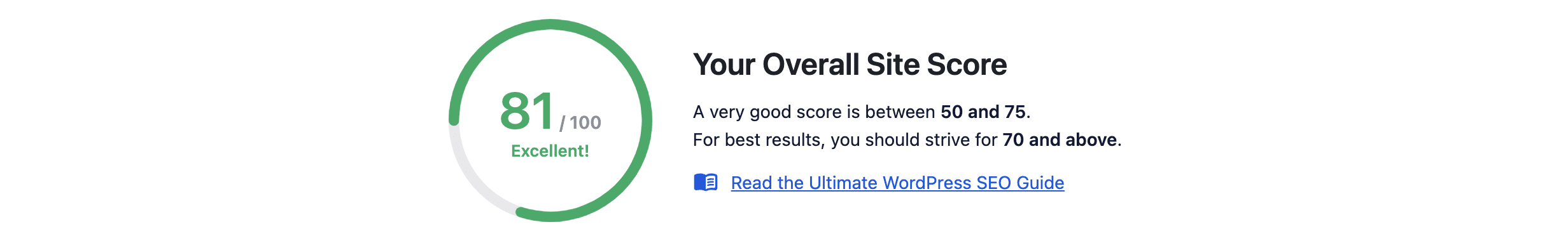 overall all in one seo score